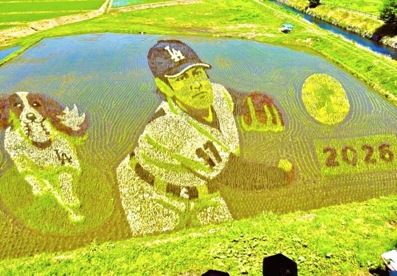 韓国人「田んぼに野球選手『大谷』登場…一日最大2000人が訪れる『ここ』」